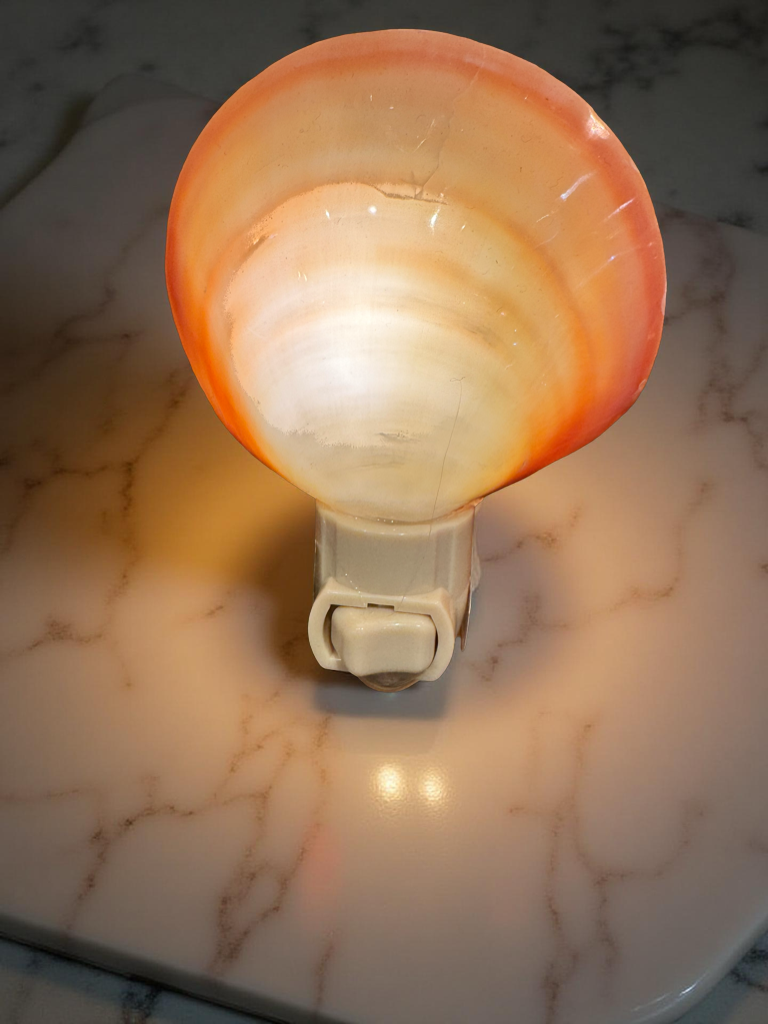Tiger Clam Nightlight – Warm Coastal Glow