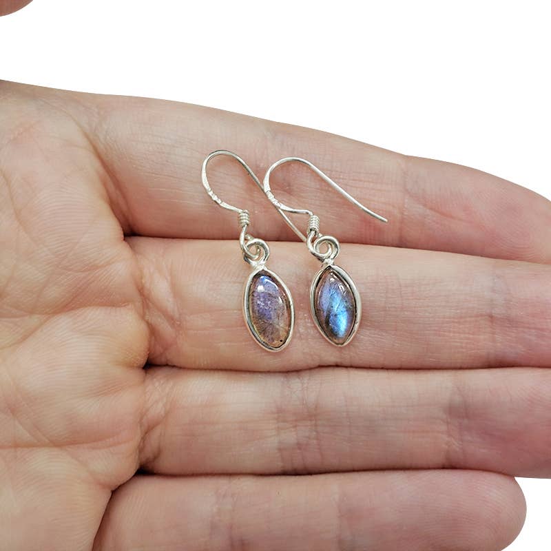 Labradorite Sterling Silver Dangle Earrings