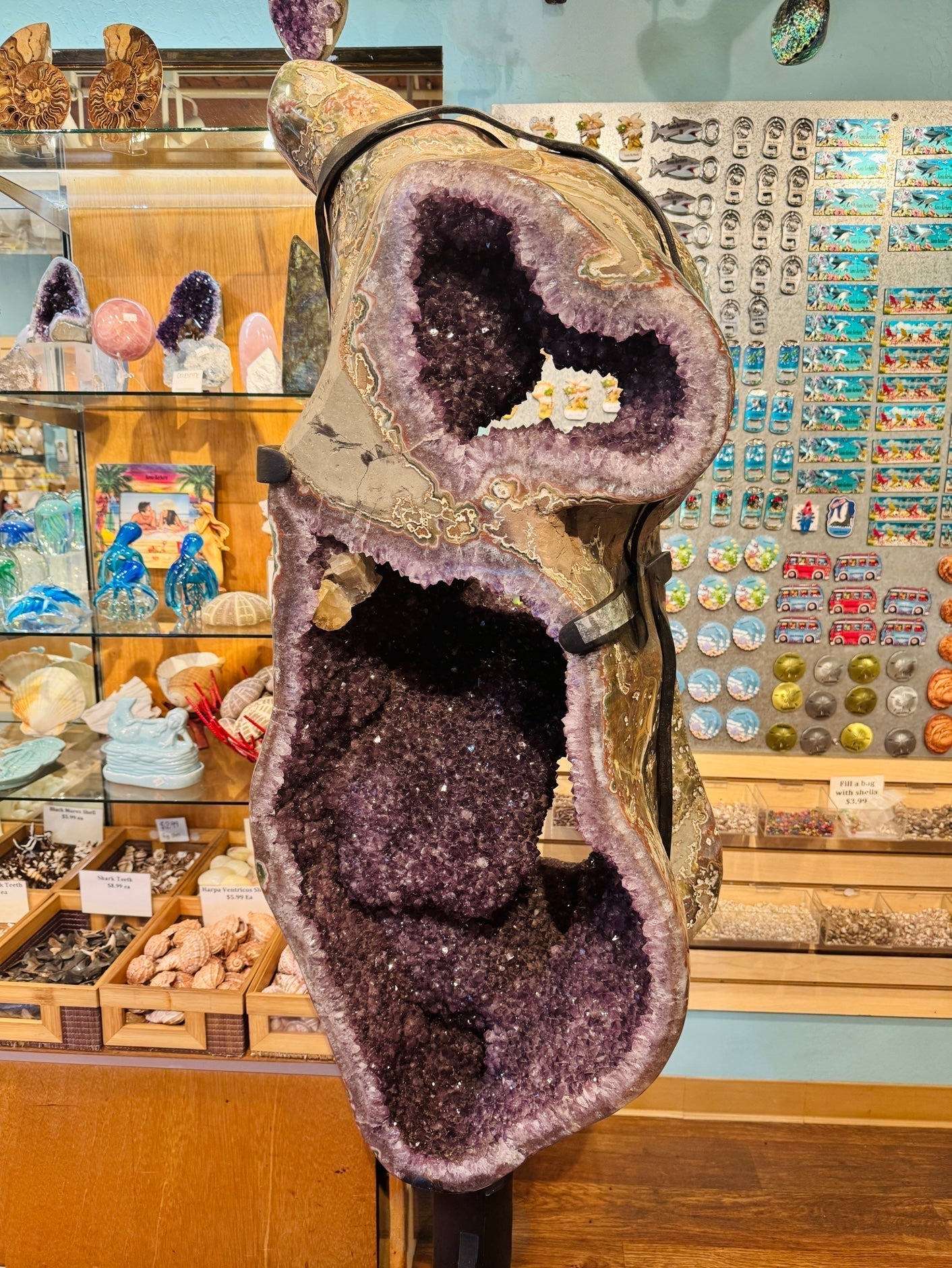 From Lava to Luxury: The Fascinating Formation of Amethyst Geodes ...