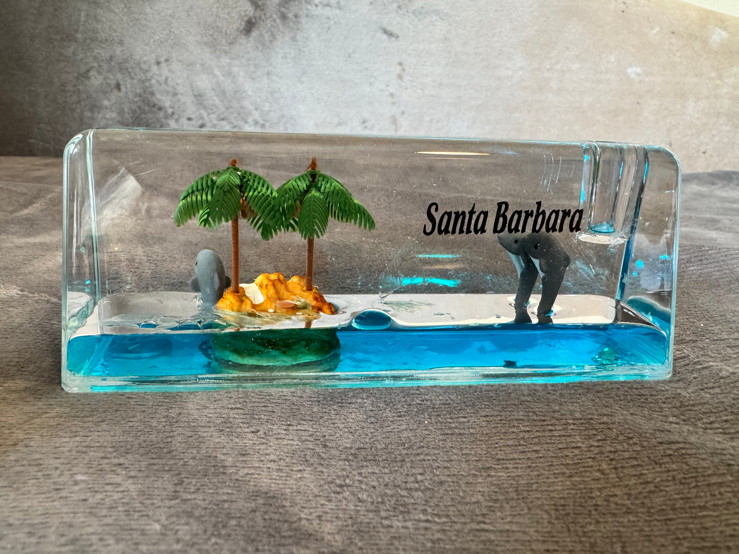 Santa Barbara 3D Liquid Paperweight – Ocean Life Collection