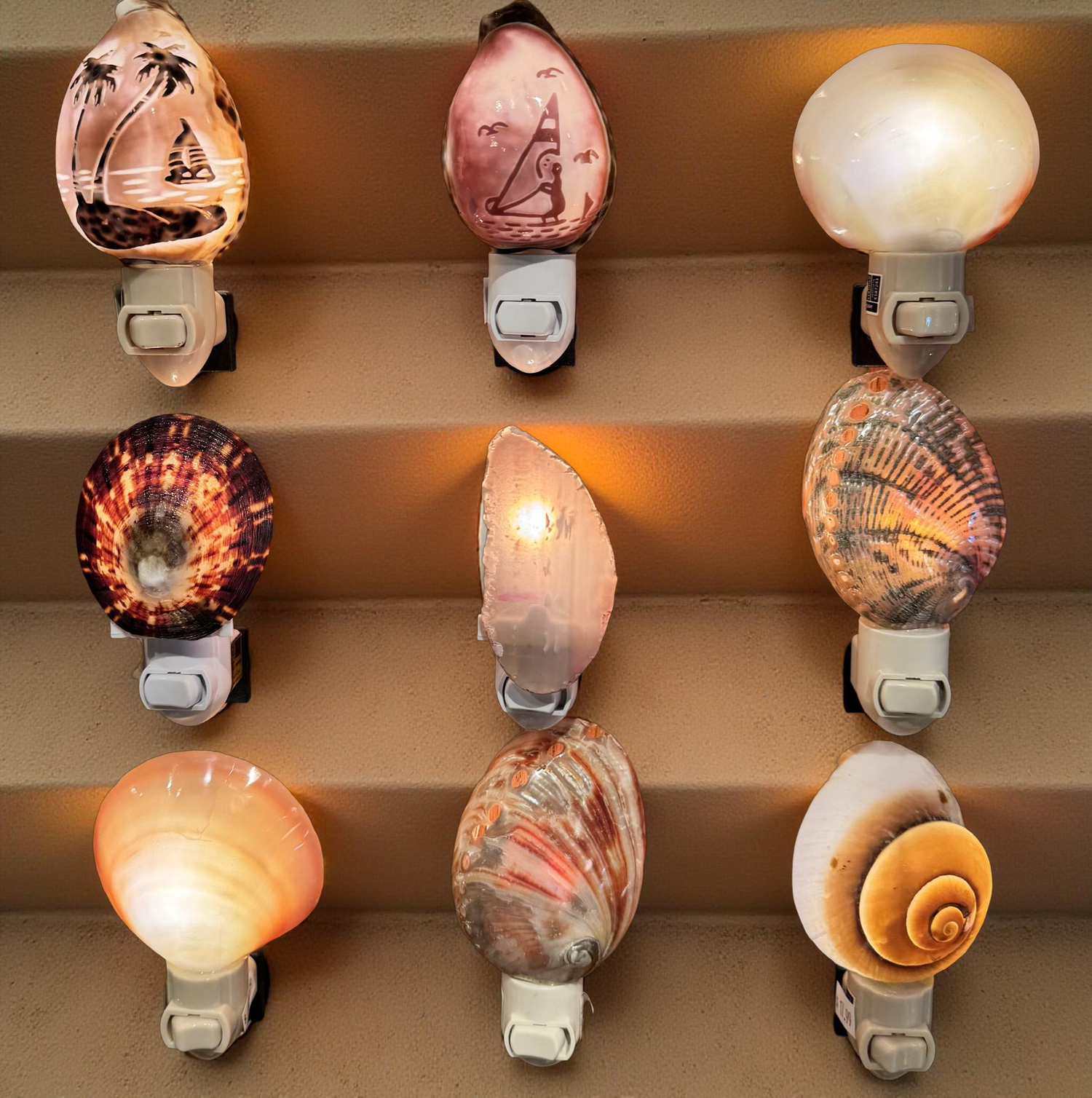 Authentic Shell Nightlights