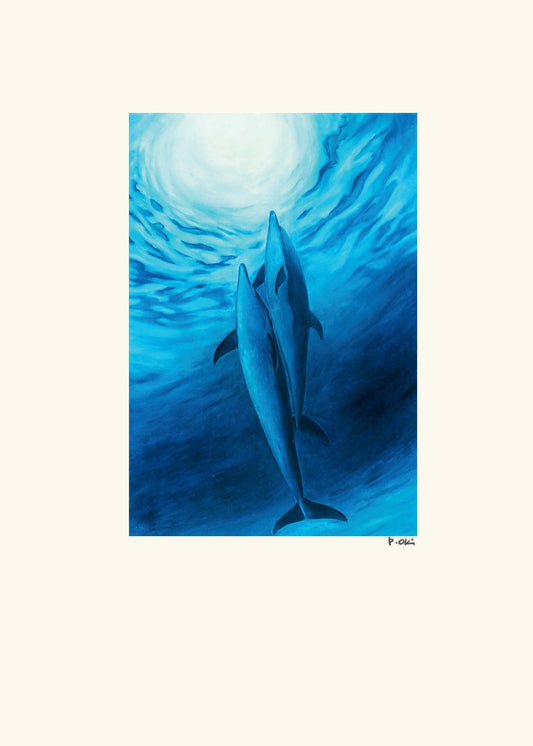 Dolphins into Light