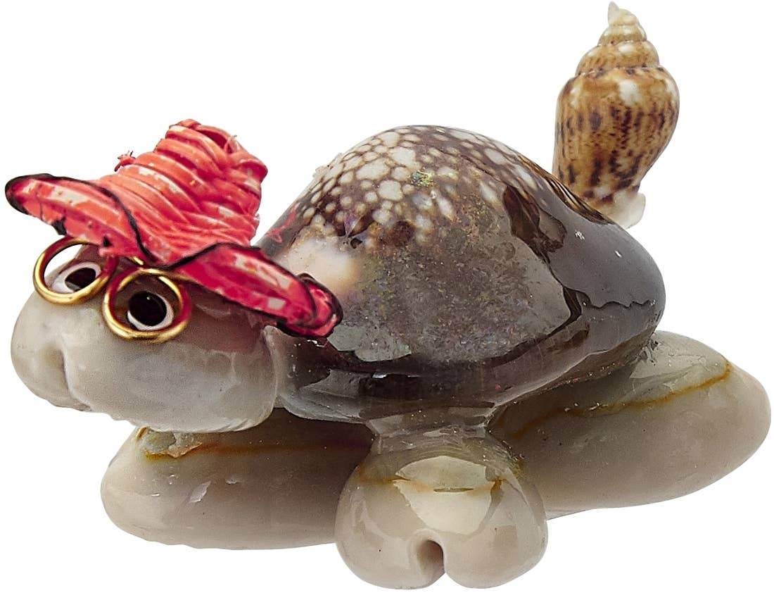 Cowry Turtle w/ Multi-Colored Hat