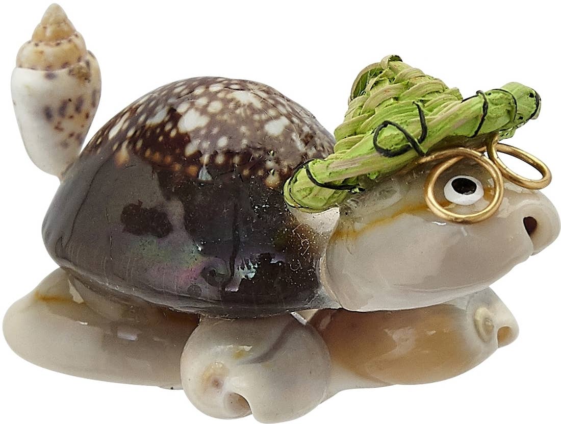 Cowry Turtle w/ Multi-Colored Hat