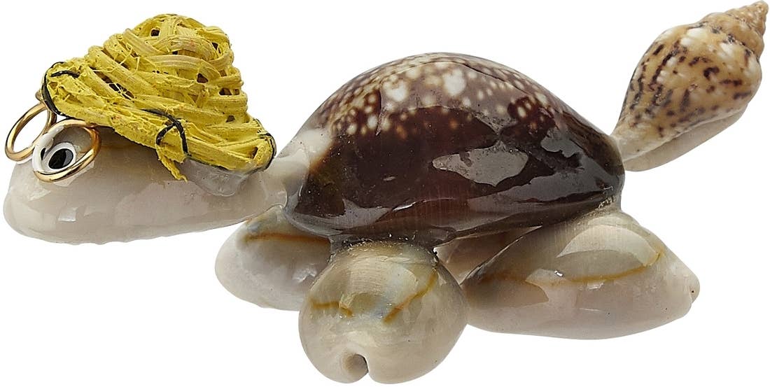 Cowry Turtle w/ Multi-Colored Hat