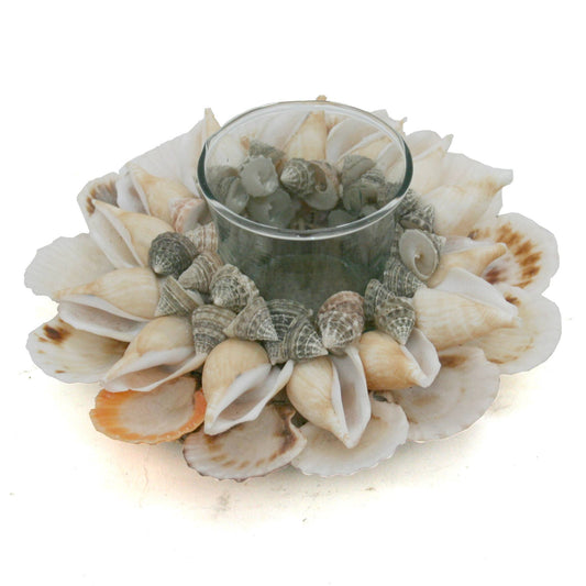 Pectin Shell Glass Tealight Holder