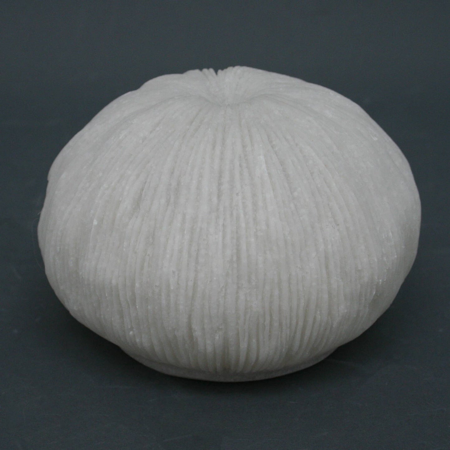 Sandstone Mushroom Coral Light Box - Soft Warm Light