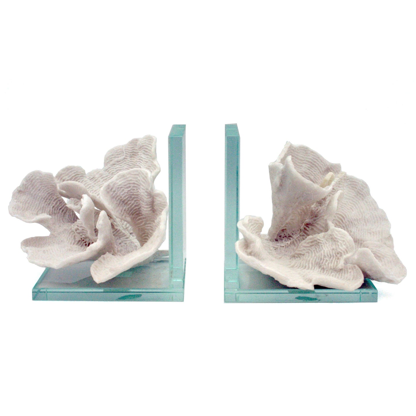 White Ripple Montipora Coral Bookends Set of 2