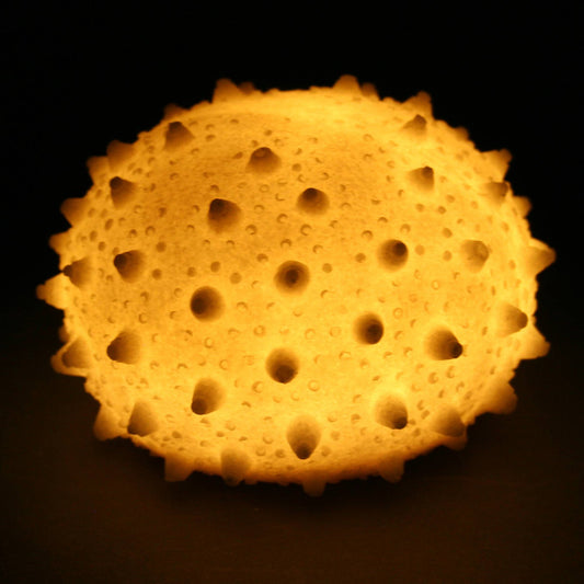 Sandstone Urchin Light Box - Soft Warm Light
